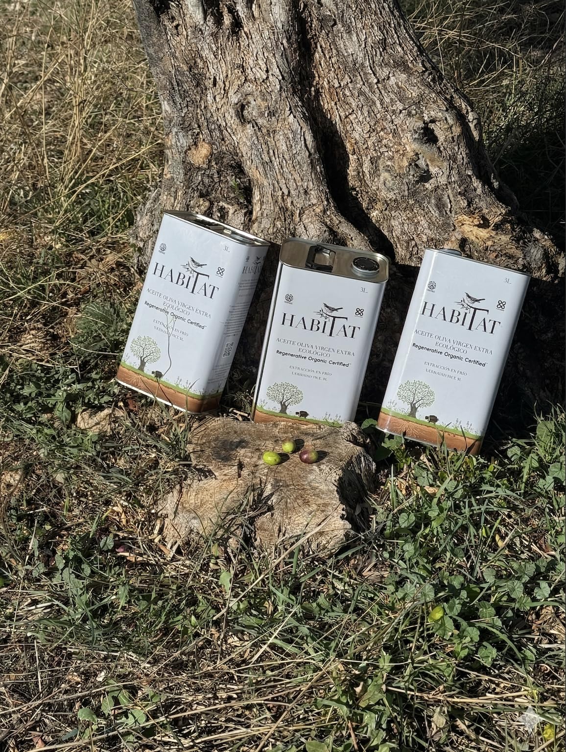 HABITAT AOVE - Aceite de Oliva Virgen Extra Regenerativo Picual en Lata 500 ml Opaca y Reciclable - Extracción en Frío, Producto de España - Ideal para Ensaladas, Tostadas y Cocina en Crudo