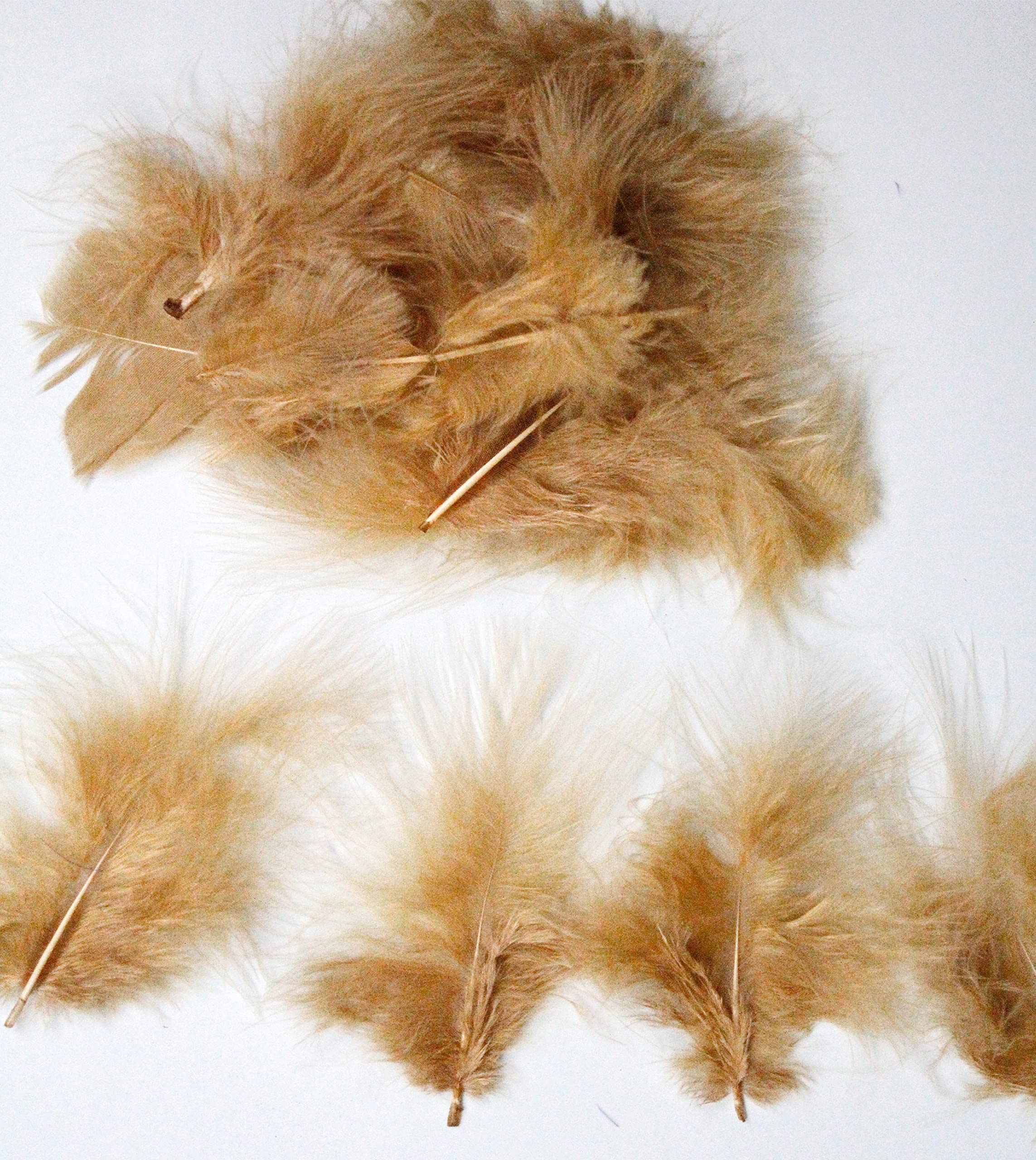 Diamante Crafts Mini Marabou Feathers 50 Per Pack - 3-8 cm - Gold