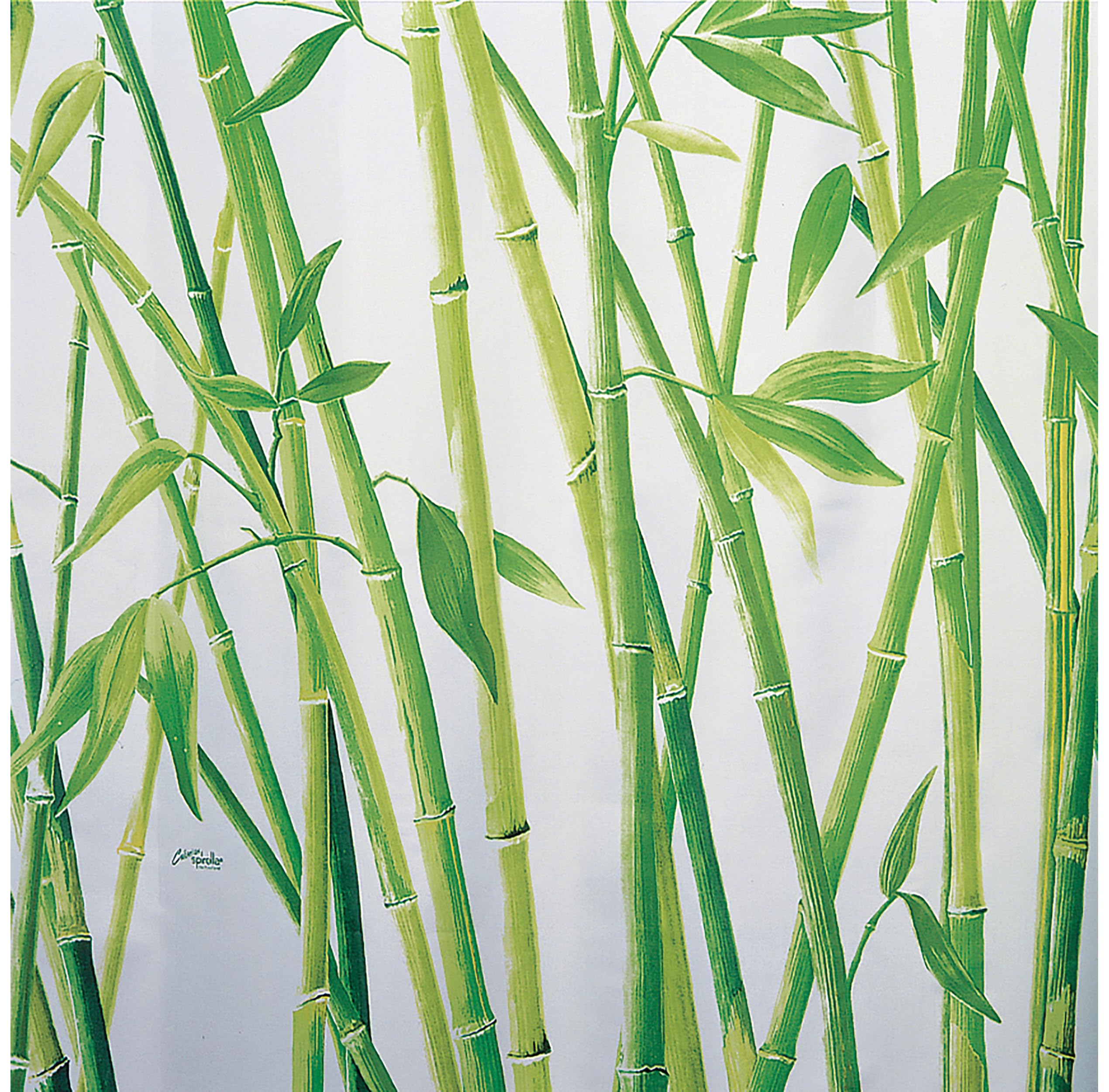 Spirella Rideau de Douche Polyester BAMBUS 180x200cm Vert