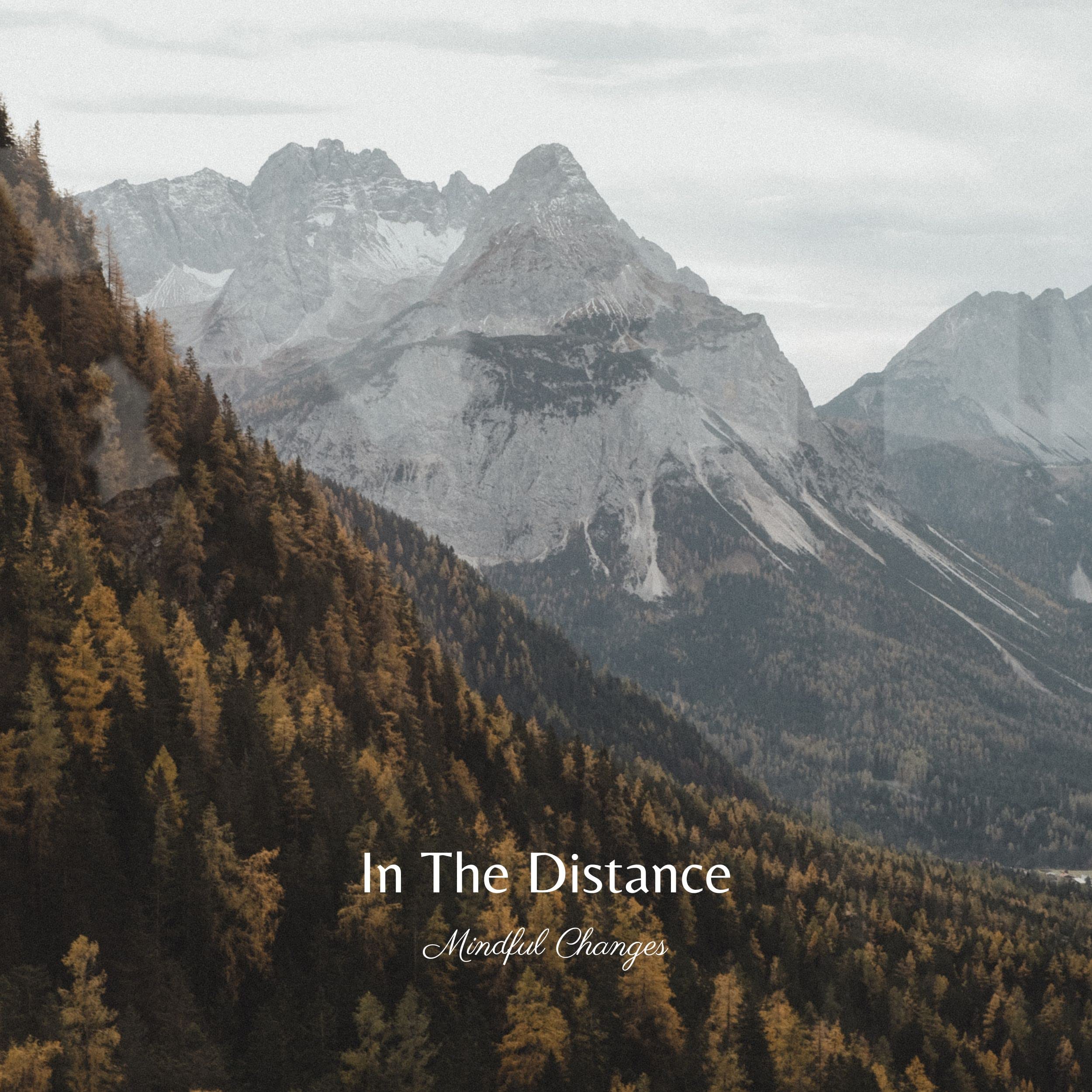 Mindful Changes