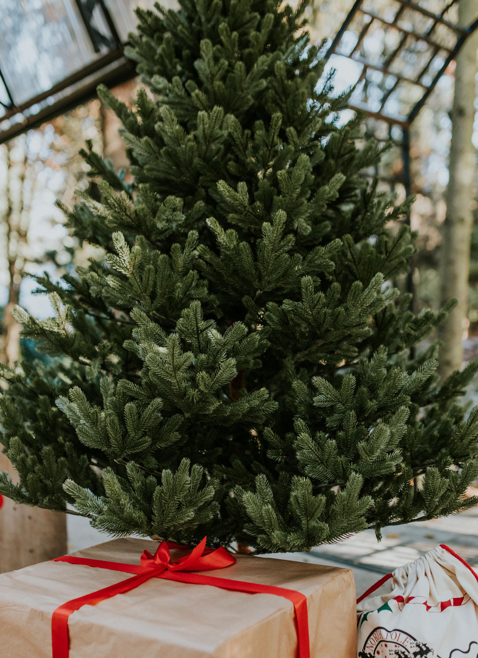 Premium Künstlicher Weihnachtsbaum 180 cm Nordmanntanne [100% Spritzguss] Tannenbaum Künstlich inkl. FSC zertifiziertem Holzständer I Christmas Tree Made in EU