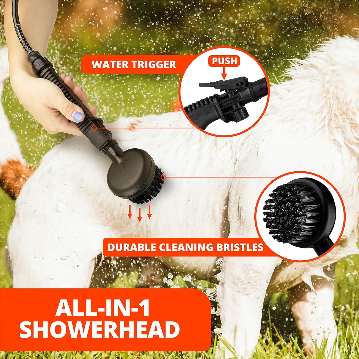 mud daddy for dogs