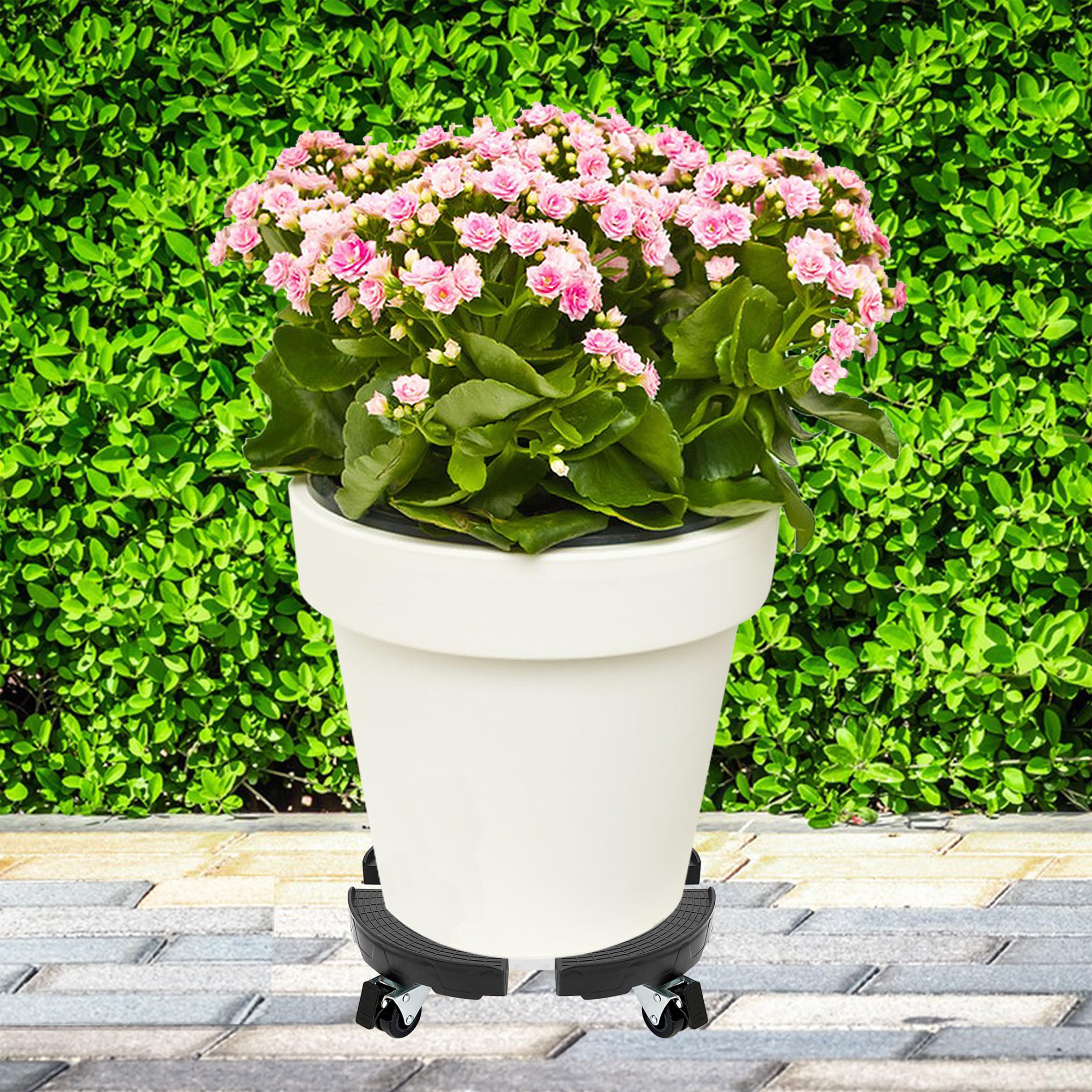 Chariot Réglable Pour Pots De Fleurs 38-50 Cm - Support 200 Kg, Roulettes Avec Frein - Pour Plantes, Climatiseurs, Meubles - 11