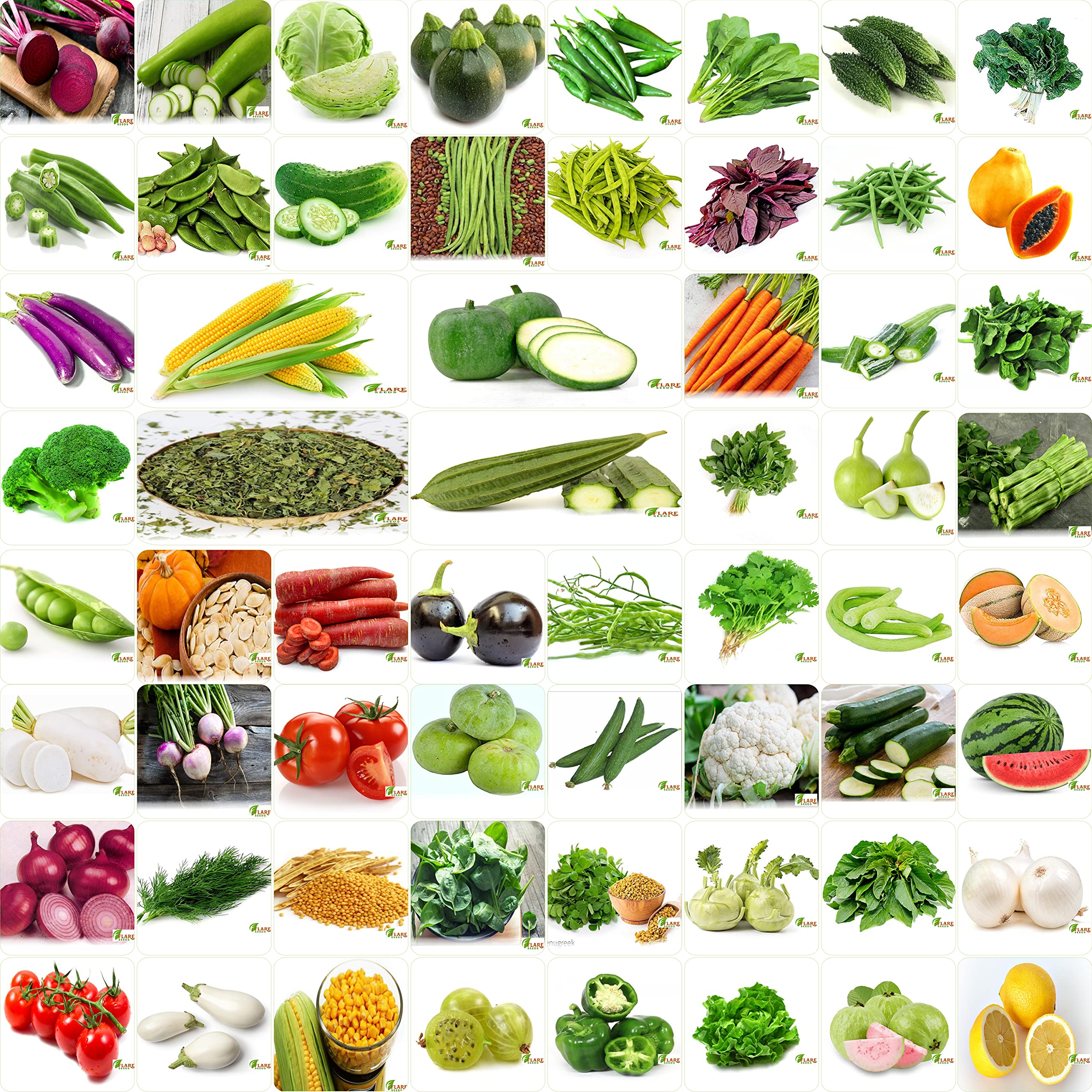 VRISA GREEN Indias No.1 Vegetable Seeds, Winter, Summer, Home Garden, Seeds Bank, Organic 60 Seeds Combo (B09CMYPHCP) Amazon Price History, Amazon Price Tracker