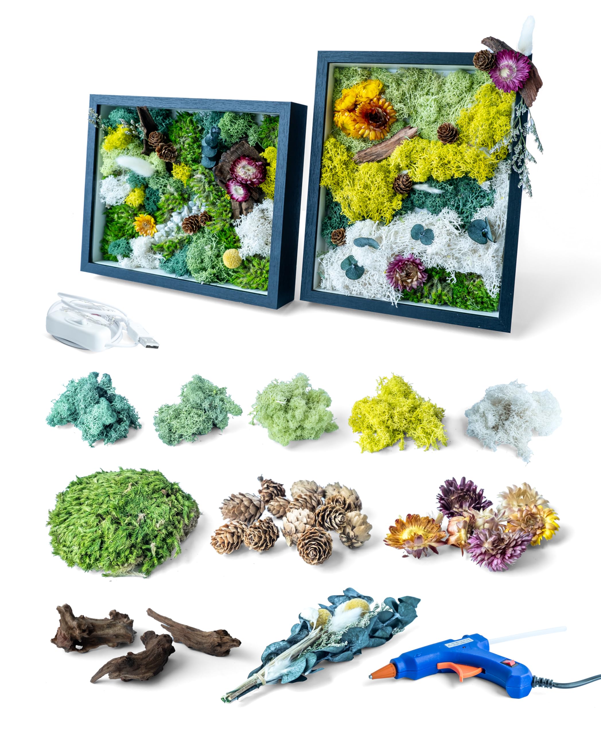 KRAFTSTORIES DIY Moss Wall Art Kit with 2 Black Frames | Preserved