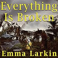 Algopix Similar Product 17 - Everything Is Broken A Tale of