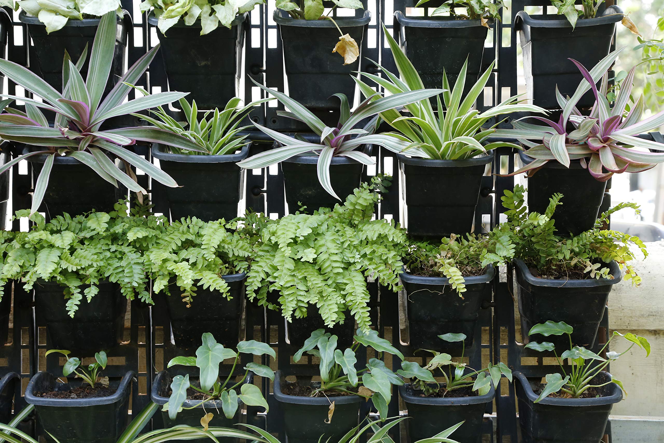 Bio Blooms Agro India Pvt.Ltd. Model Vertical Wall Hanging Garden Pots| 8 Panel &24 Pots | Black Color | Outdoor Use & Indoor Use (B08M61C7V6) Amazon Price History, Amazon Price Tracker