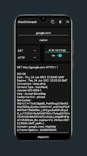 HostUnmask HostChecker and PortScanner