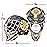 Franklin Sports Boston Bruins NHL Hockey Goalie Face Mask - Goalie Mask for Kids Street Hockey - Youth NHL Team Masks for Kids