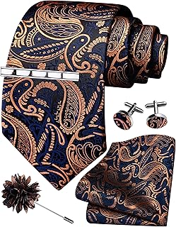 Tie Set for Men Necktie and Pocket Square,Tie Clip,Cufflinks, Lapel Pin Sets with Gift Box 5PCS