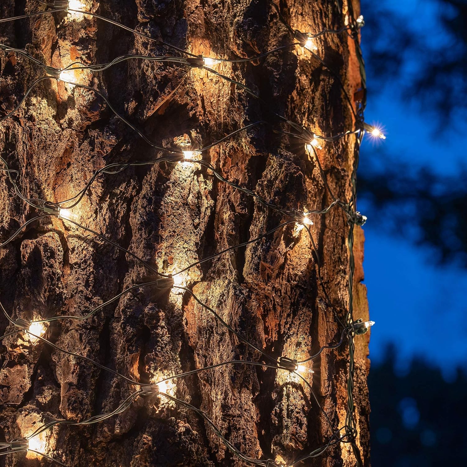 Kringle Traditions Clear Christmas Trunk Wrap Lights with 100 Lamps on Green Wire, 2' x 8'