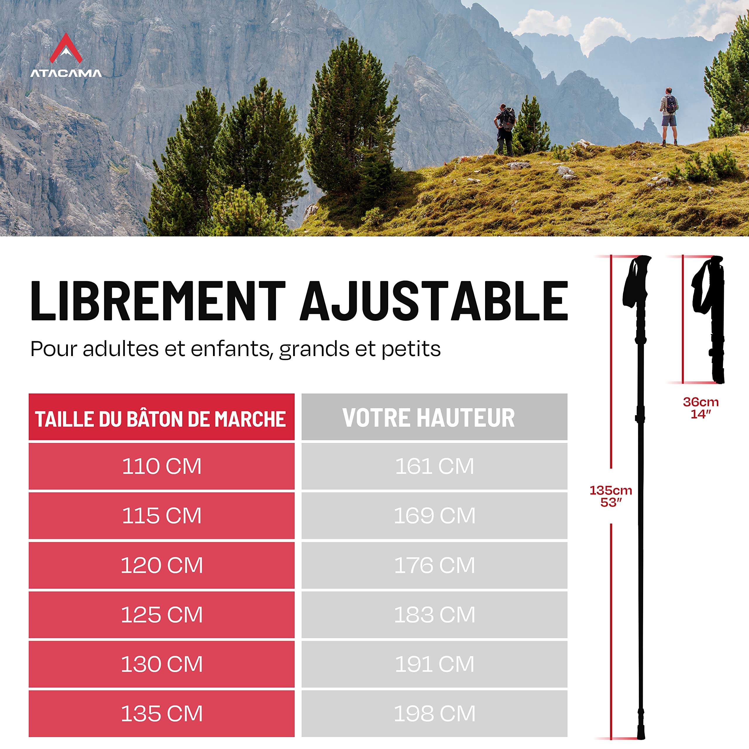 ATACAMA Bâtons de Randonnée Nordique – ultralégers, Pliables & télescopiques – Fibre de Carbone, poignées en liège – bâtons de Marche pour Homme & Femme (63–135 cm)