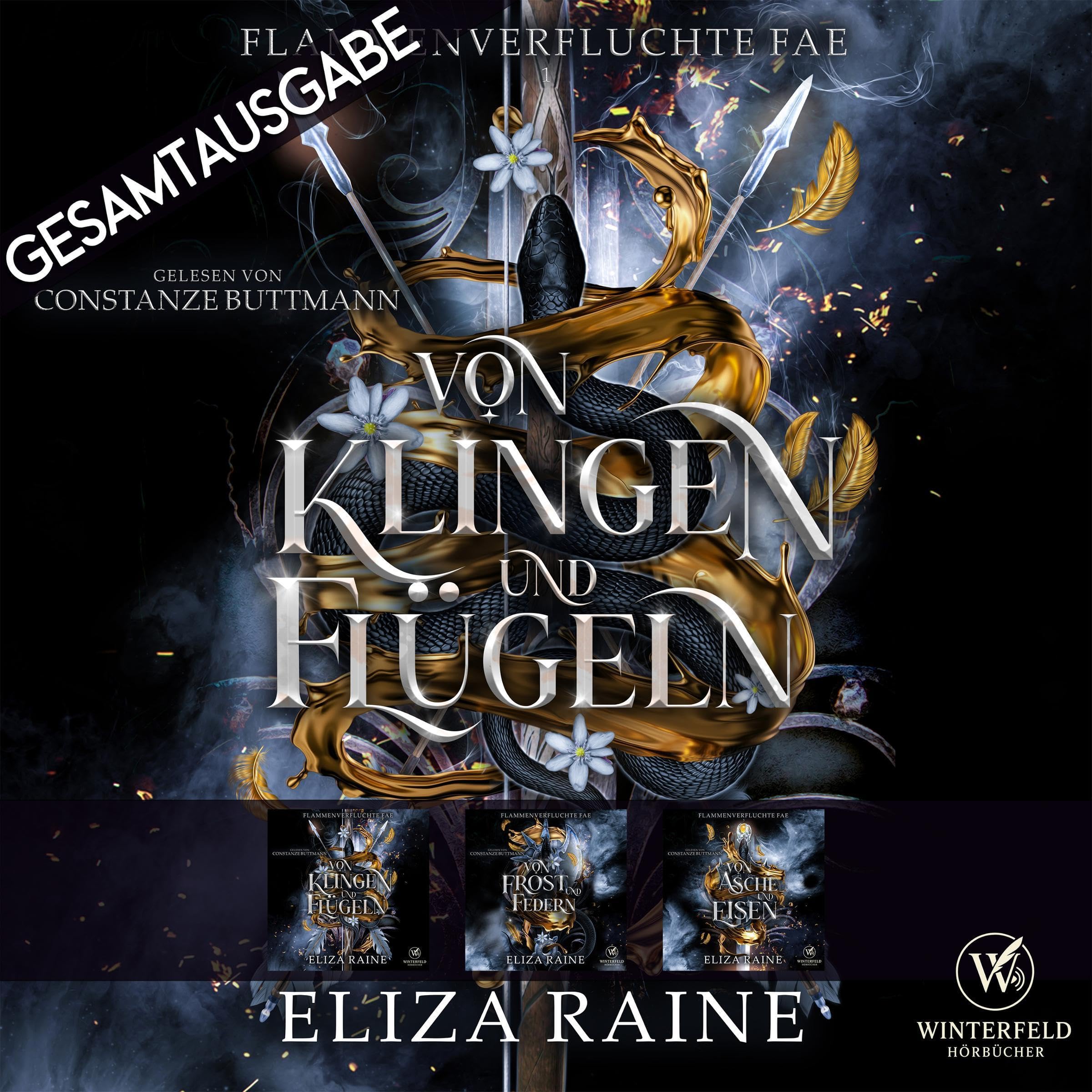 Cover art for Gesamtausgabe - Walküren Academy 1-3