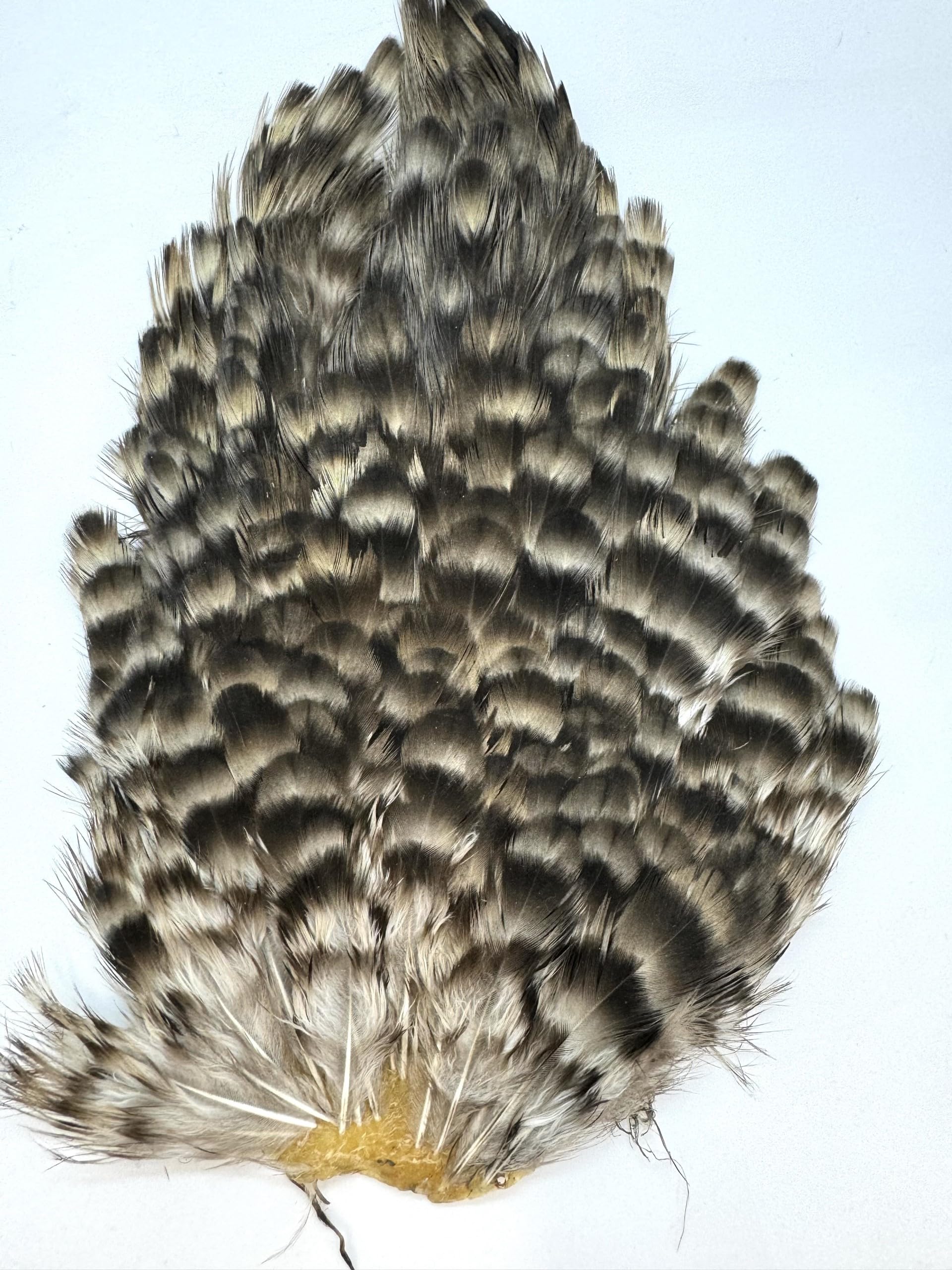 Hen Capes in Natural Colours, Fly Fishing, Fly Tying, Arts & Craft (Badger) — image 1