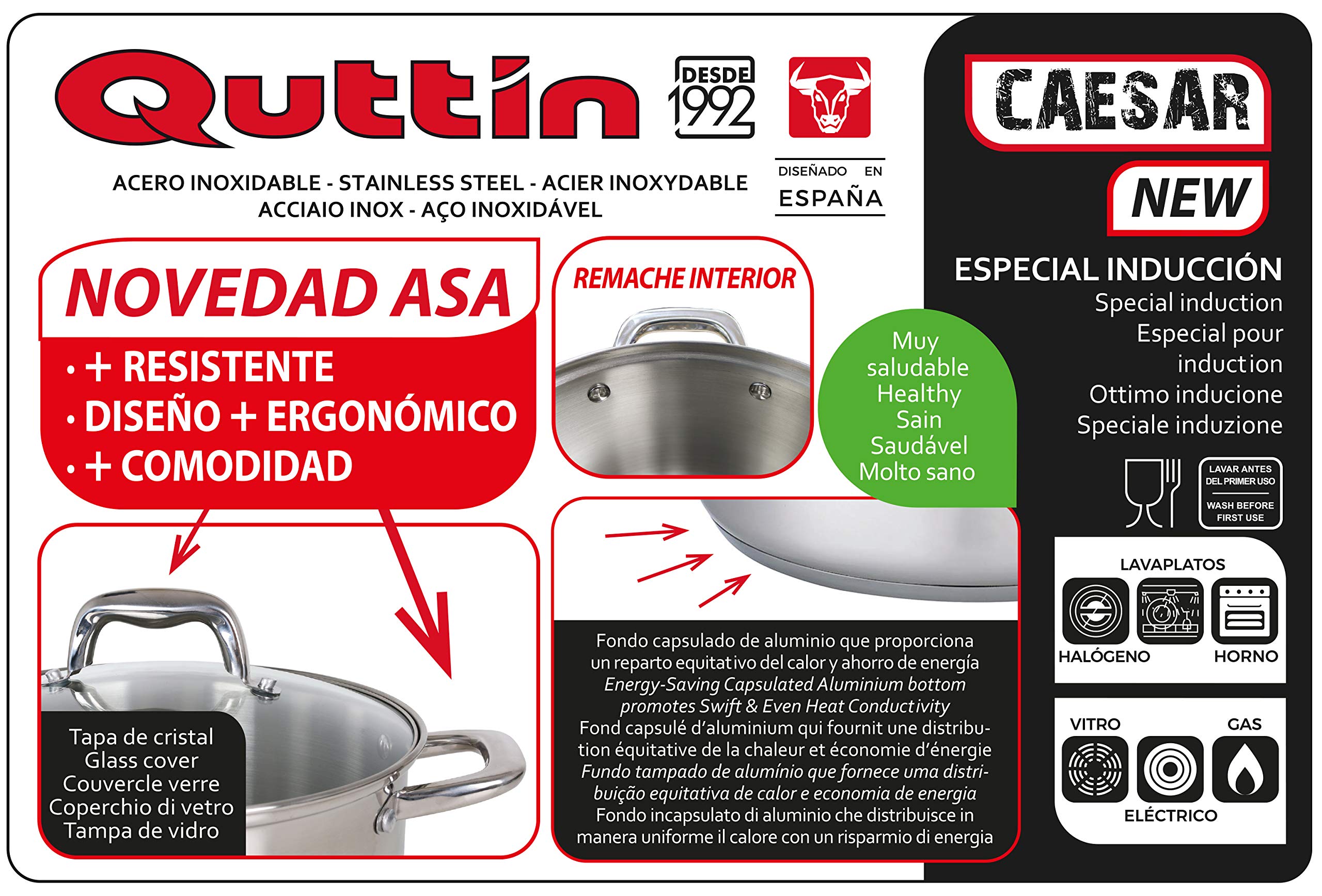 Quttin | Cacerola Profesional New Caesar de Inducción para Cocina y Horno | Cacerola Grande de Acero Inoxidable Antiadherente con Tapa de Cristal y Asas | 32 cm/10 L | Apta para Todo Tipo de Cocinas