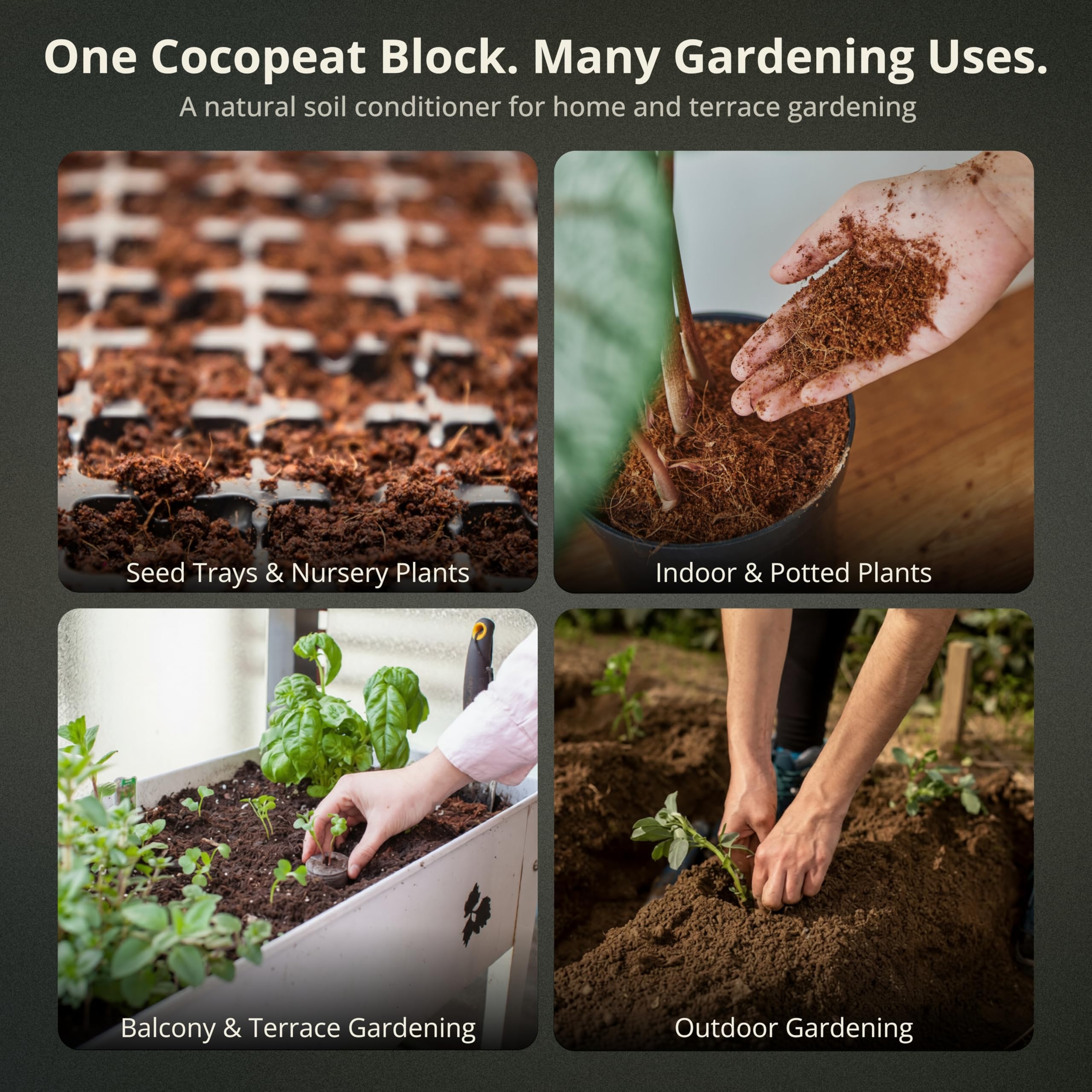 Kraft Seeds Cocopeat - 5kg Block for Gardening -6 Kraft Seeds Cocopeat - 5kg Block for Gardening -6