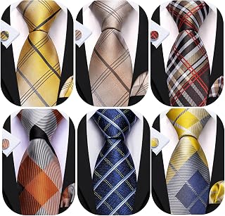 Barry.Wang Mens 6 PCS Ties Silk Striped Paisley Check Floral Necktie Silky Woven Wedding Business Party Ties 3.34"