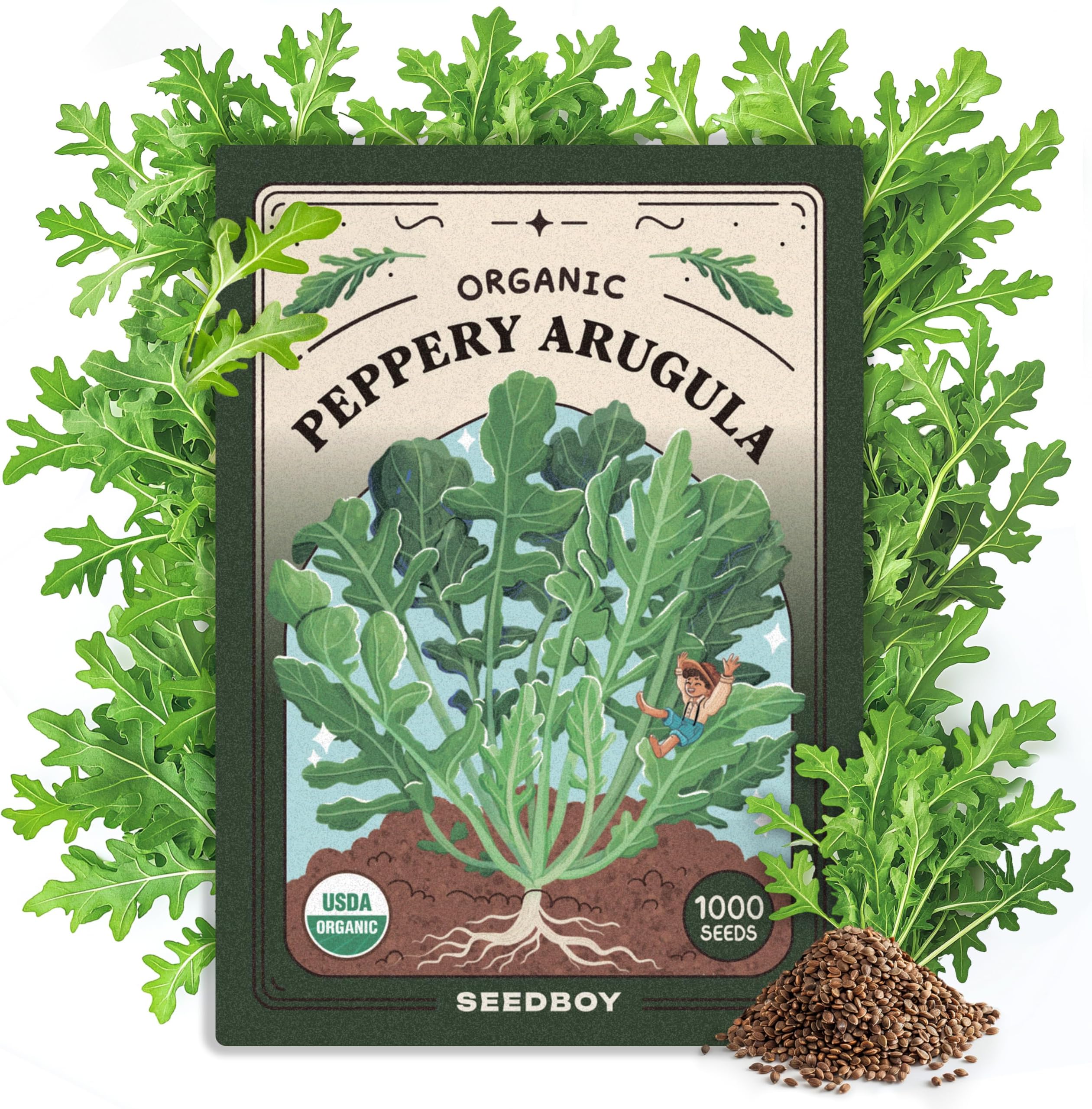 Seedboy Organic Arugula 'Slow Bolt' Seeds for Planting Indoor and Outdoor, Non-GMO and USDA Certified Herb Seed Packet for Hydroponic Garden Indoor or Planting Outdoors (Slow Bolt Arugula)
