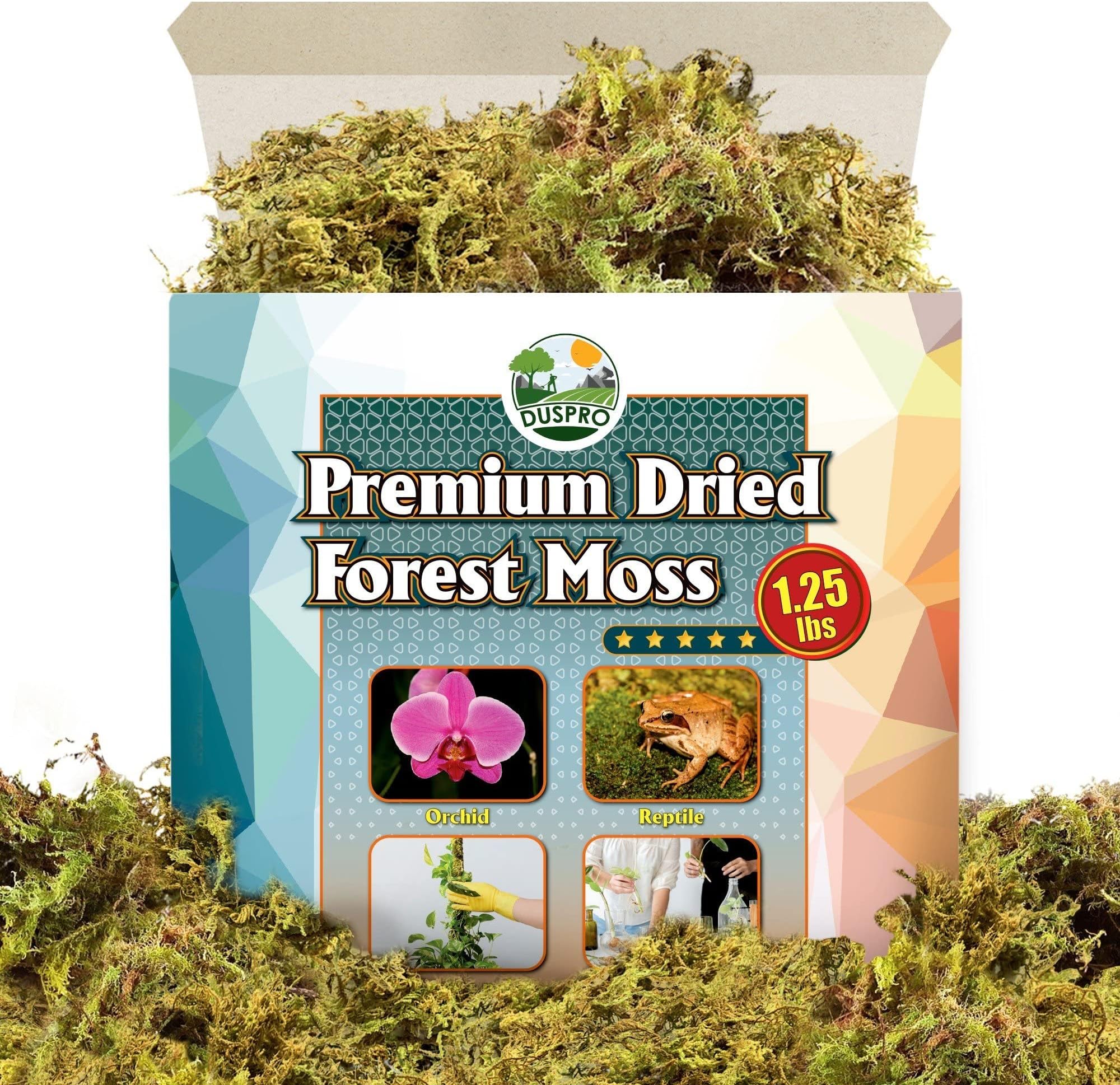 DUSPRO Dried Forest Moss for Potted Plants Orchid Moss Potting Mix Ideal Indoor Moist Repotting Orchid, Terrarium Decor, Natural Reptile Vine (16 QUART)