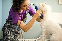 Vista 7 de Andis – 23275, Ultra Edge Detachable Blade Clipper - Super 2-Speed Rotary Motor with Minimal Noise, 3400-4400 Strokes per Minute, Includes 14-Inch