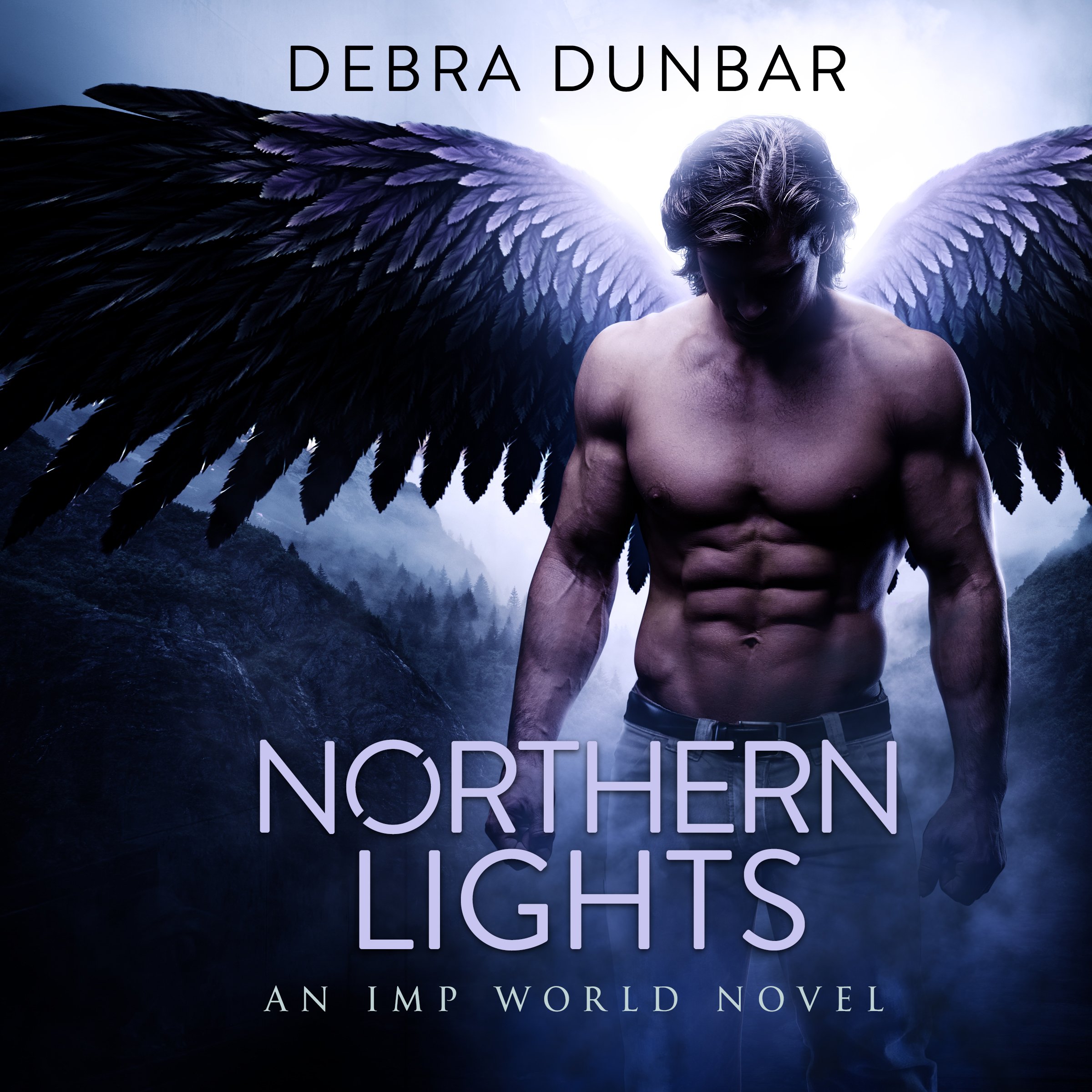 Cover art for Northern Lights
