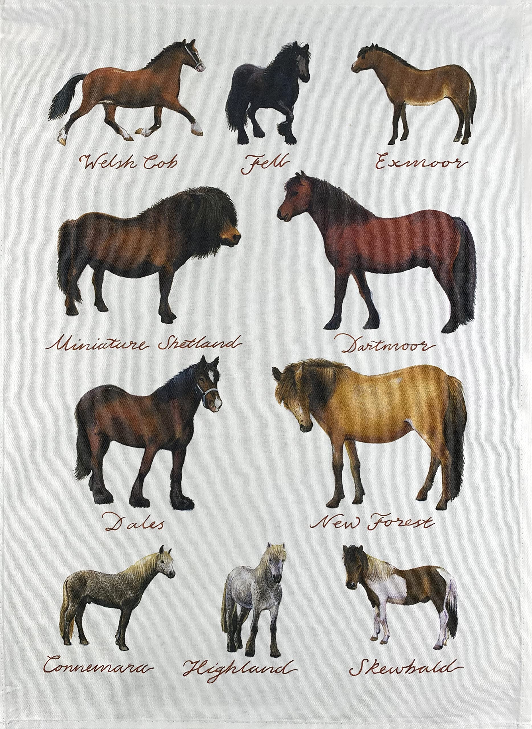 Hand Drawn Ponies Tea Towel, machine washable, cotton, hand drawn