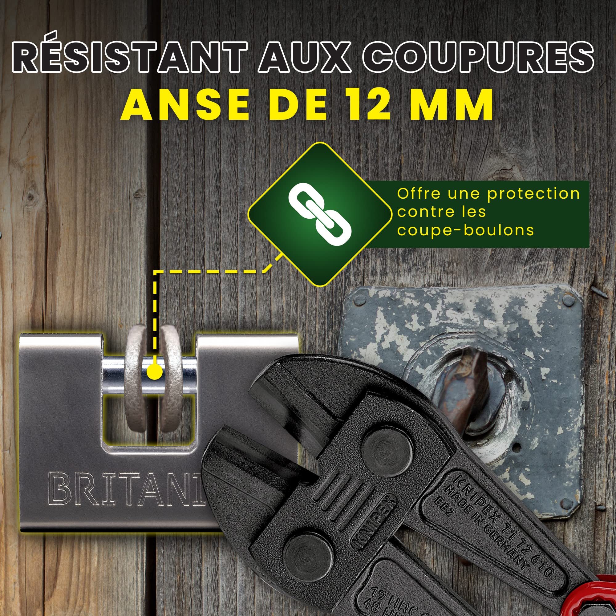 BRP84 Cadenas Container Antivol avec 5 Clés - Anse 12 mm Anti-Cisaille, Cylindre Anti-Perçage | Serrure de Sécurité pour Portail, Garage, Remorque Attelée