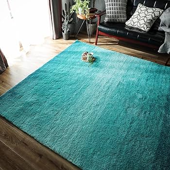 Amazon | グラムスタイル ラグ カーペット 洗える