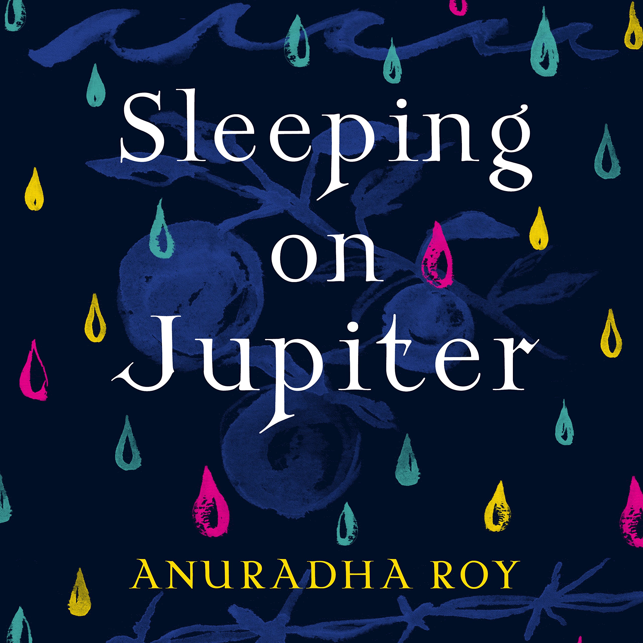 Cover art for Sleeping on Jupiter