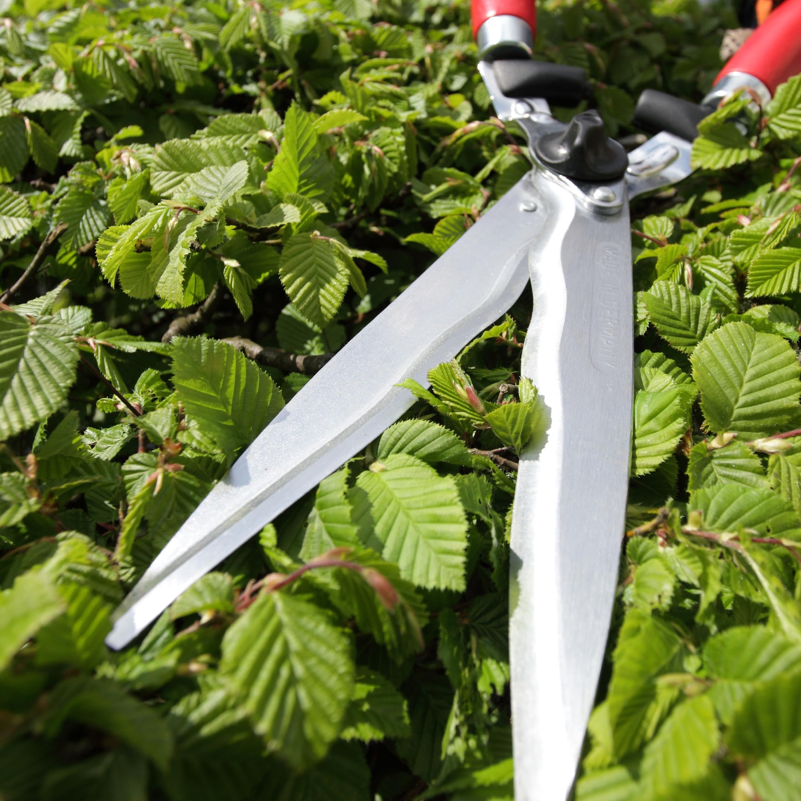 Berger 4590 Cisaille à haie Confort 540 mm ondulées, Argent/Rouge