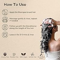 Vista 4 de BOTANIC HEARTH Champú de biotina con aceite de jengibre y queratina, para la pérdida del cabello y el adelgazamiento del cabello, promueve