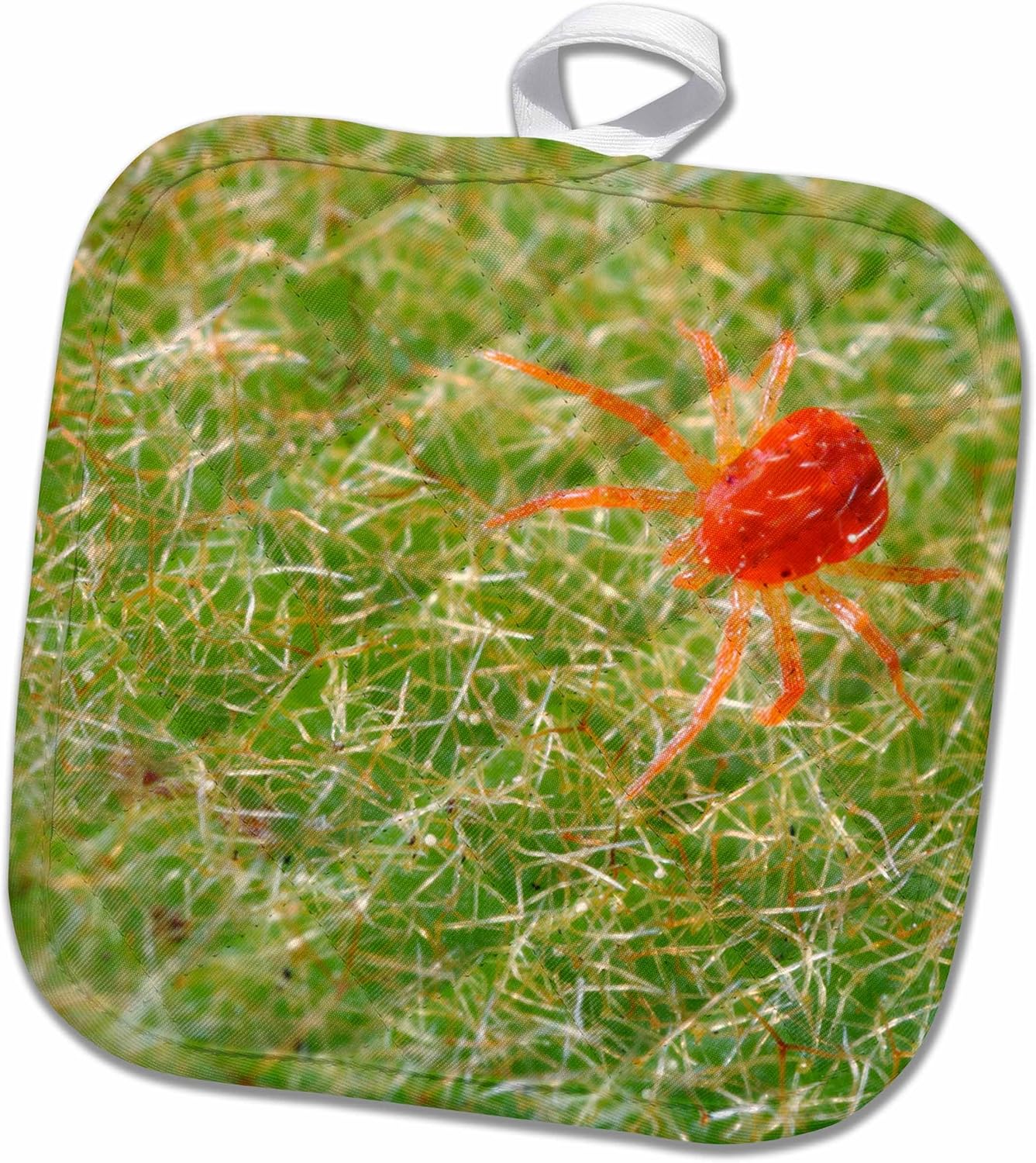 3D Rose USA-California-Extreme Close-Up of A Spider Mite. Pot Holder, 8 x 8