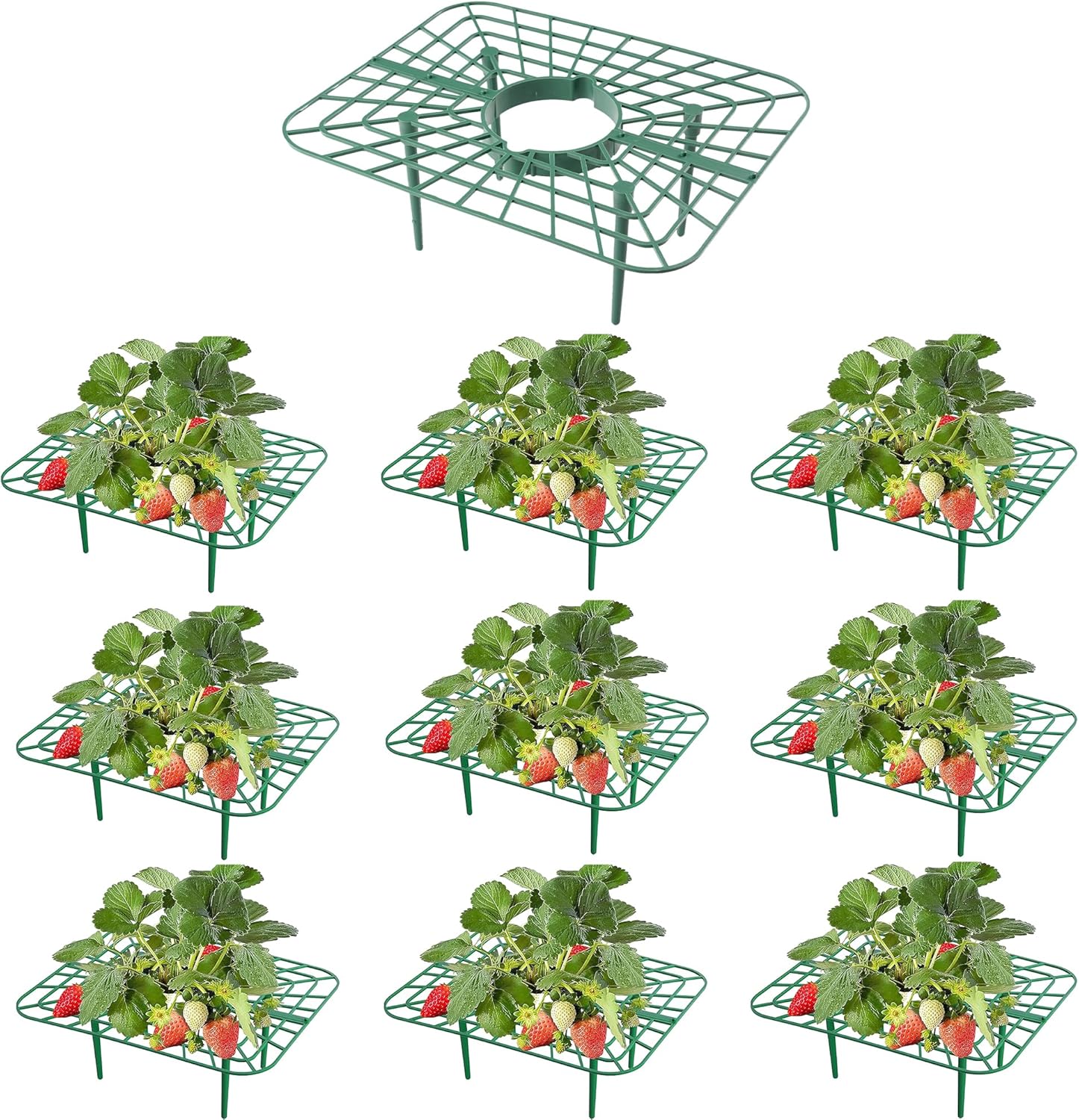 10Pack Strawberry Plant Support, Strawberry Plant Stand Holder Reusable Strawberry Plant Protector Greenhouse Strawberry Trellis Accessories Strawberry Planter for Strawberry Garden Plants