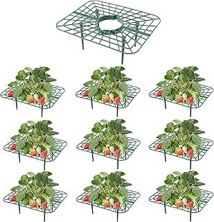 10-Packs Strawberry Plant Support, Reusable Strawberry Garden Trellis & ...