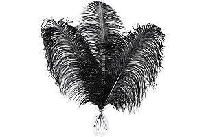 Larryhot Black Ostrich Feathers - Classy Table Centerpieces