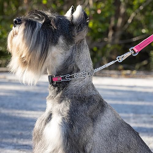 Miniatura 6 de Herm Sprenger Collar para perro de acero cromado con hebilla ClicLock de liberación rápida y collar de entrenamiento con inserto de bioano para