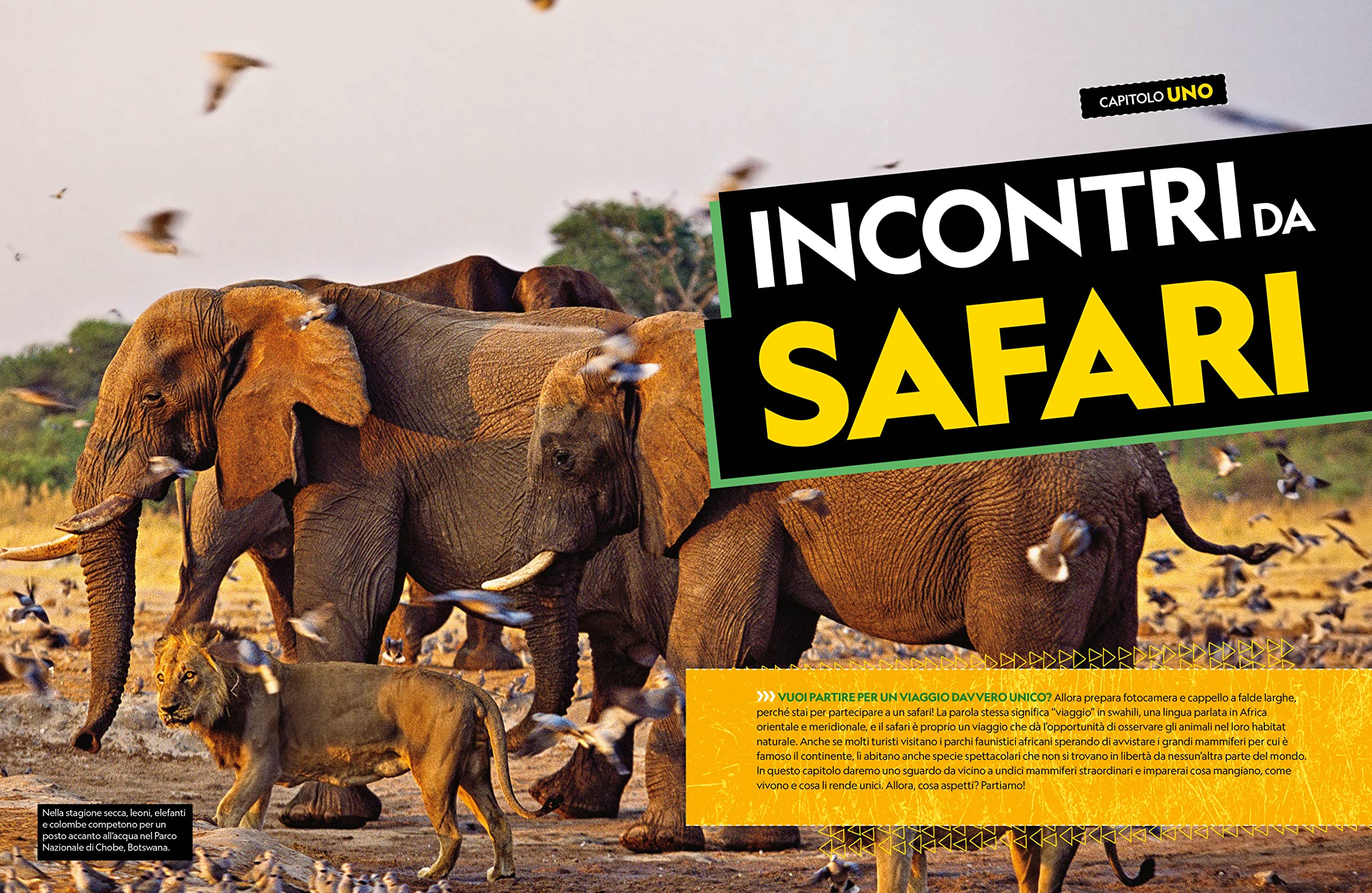Il grande libro degli animali dell'Africa. Ediz. a colori