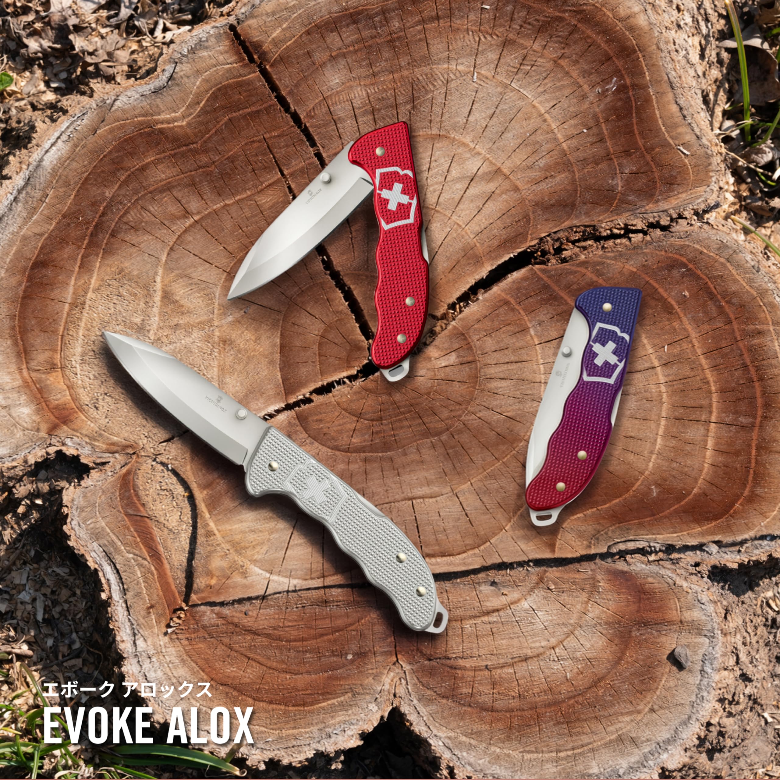 Amazon | VICTORINOX(ビクトリノックス) エボーク ALOX レッド 
