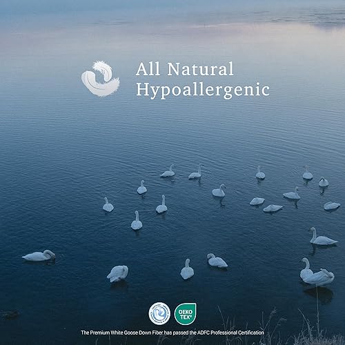 Miniatura 3 de Hotel Grand White Goose Down Fiber Comforter Full Queen Size - All Season Fluffy Hotel Collection Duvet Insert Queen Medium Warmth Comforter with