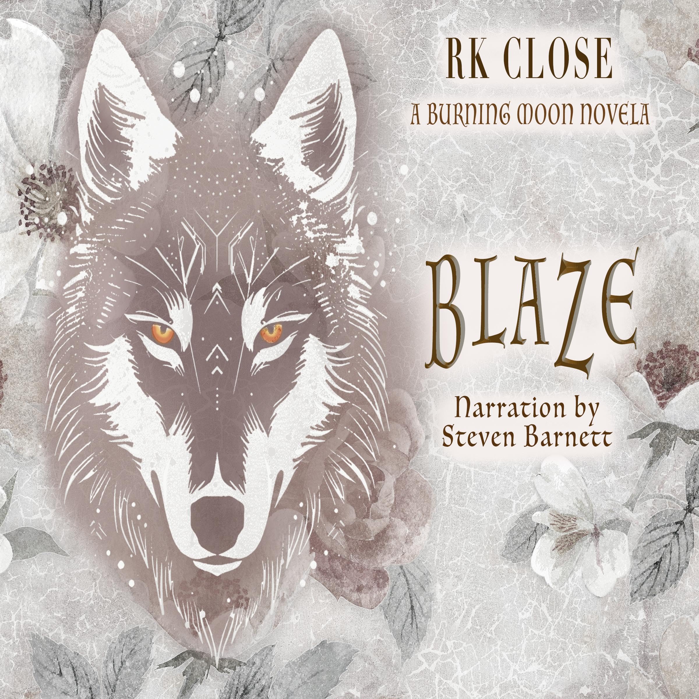Cover art for Blaze: Burning Moon, Book 3
