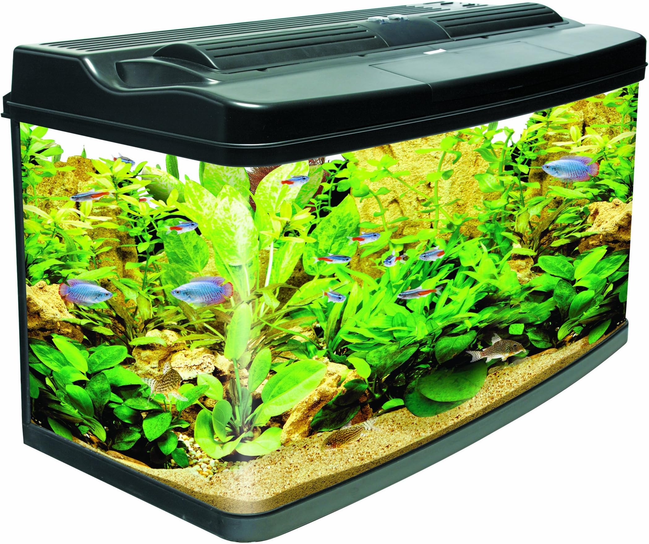 Interpet Fish Pod Glass Aquarium Fish Tank, 120 L
