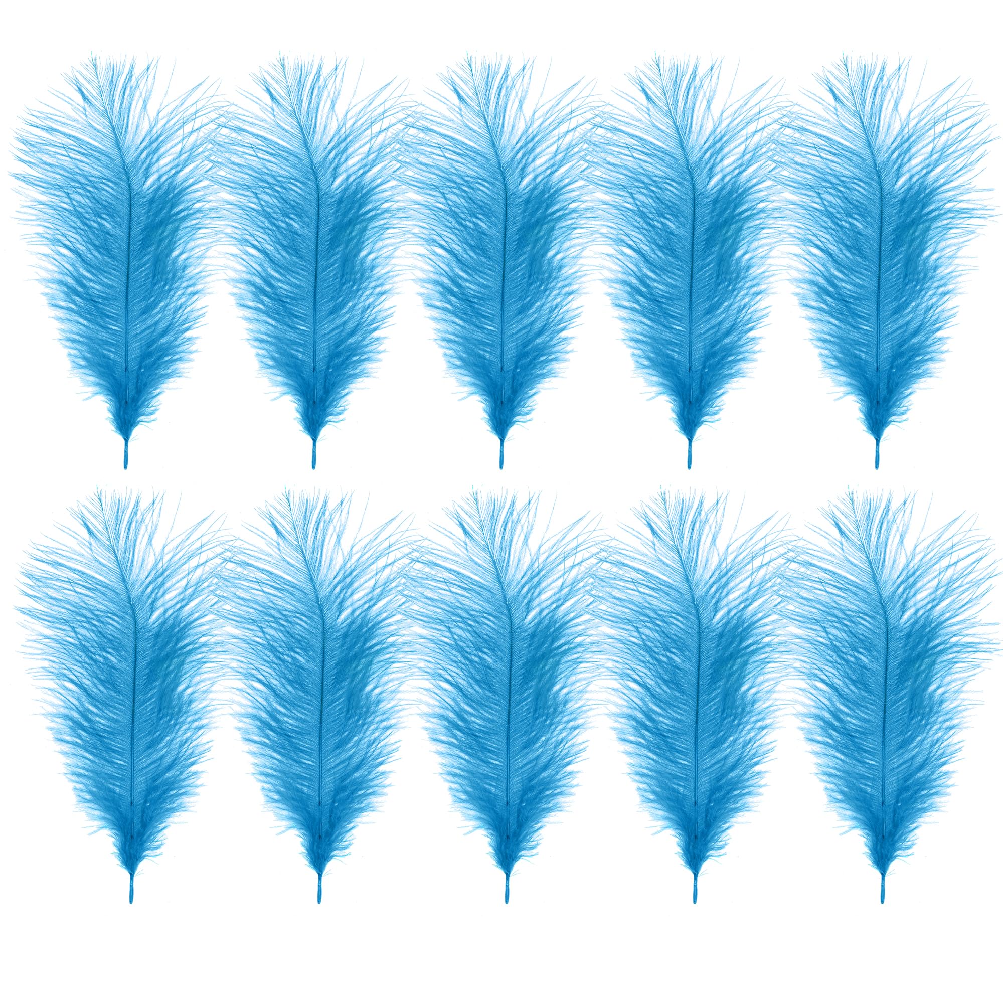 WedDecor 35cm Turquoise Ostrich Feathers for Wedding Decoration – Real Feather Supplies for Crafts, DIY Headdresses, Dressmaking, Table Centrepieces & Fashion Accessories, 10pcs