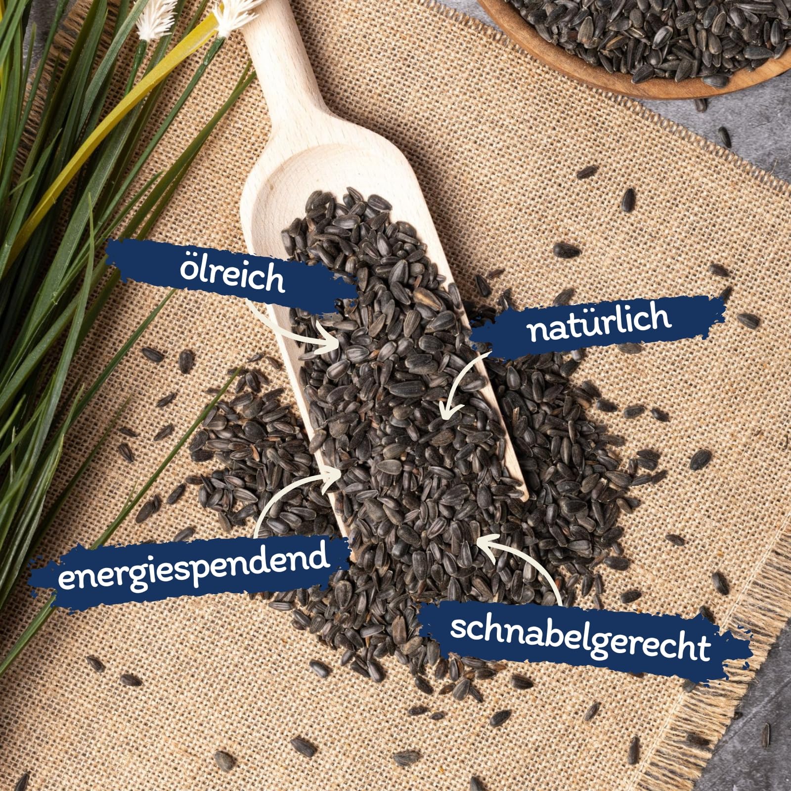 Lyra Pet® | 25 kg Sonnenblumenkerne Schwarz | Vogelfutter für das Ganze Jahr | Premium Wildvogelfutter | Idealer Energiespender für Sommer und Winter | Ölhaltiges Vogelstreufutter für Wildvögel