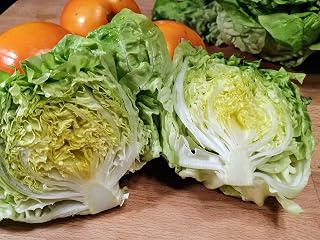 Hundredfold Organic Nancy Big Boston Lettuce 500 Vegetable Seeds - Lactuca Sativa Butter Head, Non-GMO