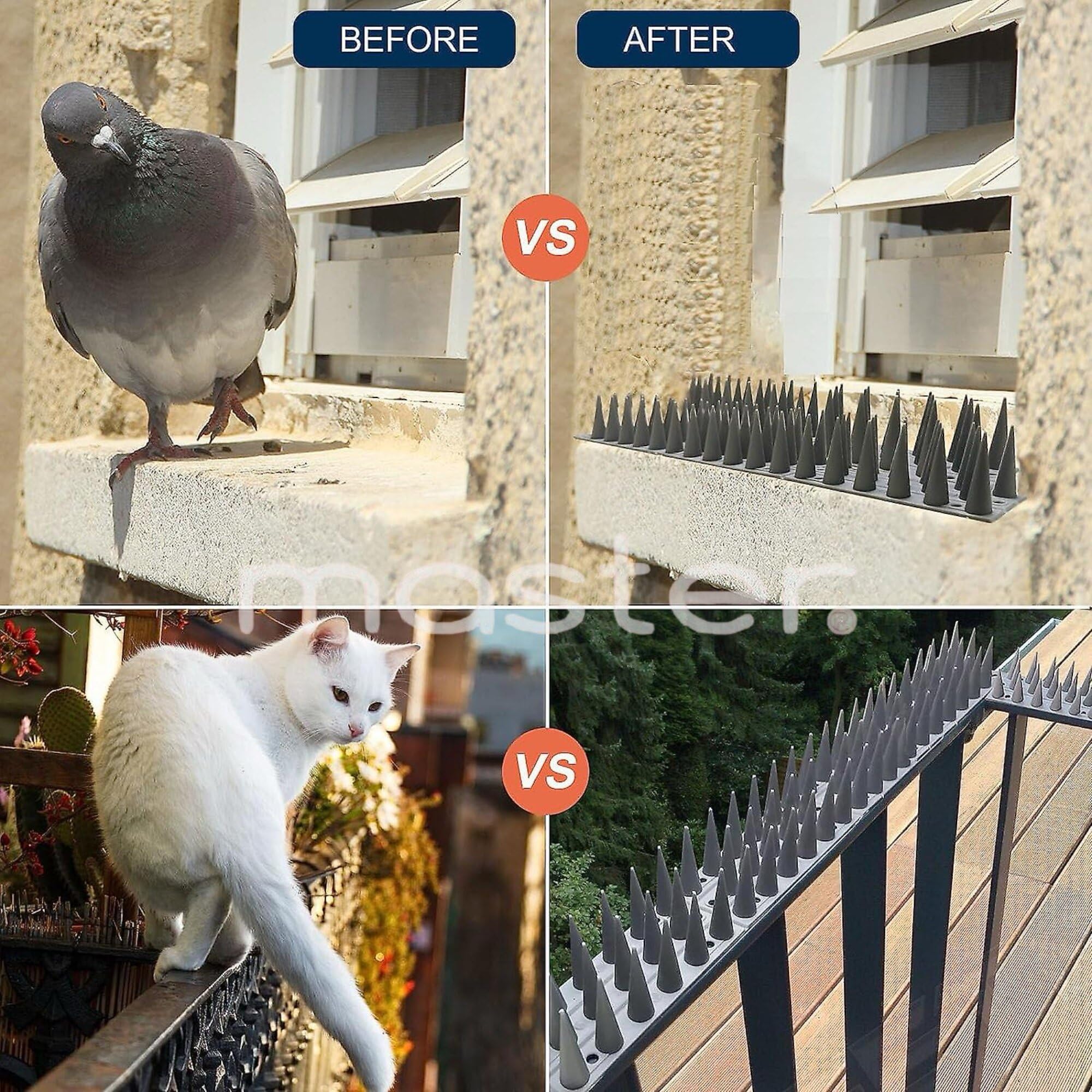 Dormaster Pigeon Spikes - (Grey, Pack of 20) Deter Pigeons, Cats, Monkeys, Crows, Kabootars - Protect AC, Balcony, Windows - Easy Install, Weatherproof - Home Defense Solution (Grey, 20) 2
