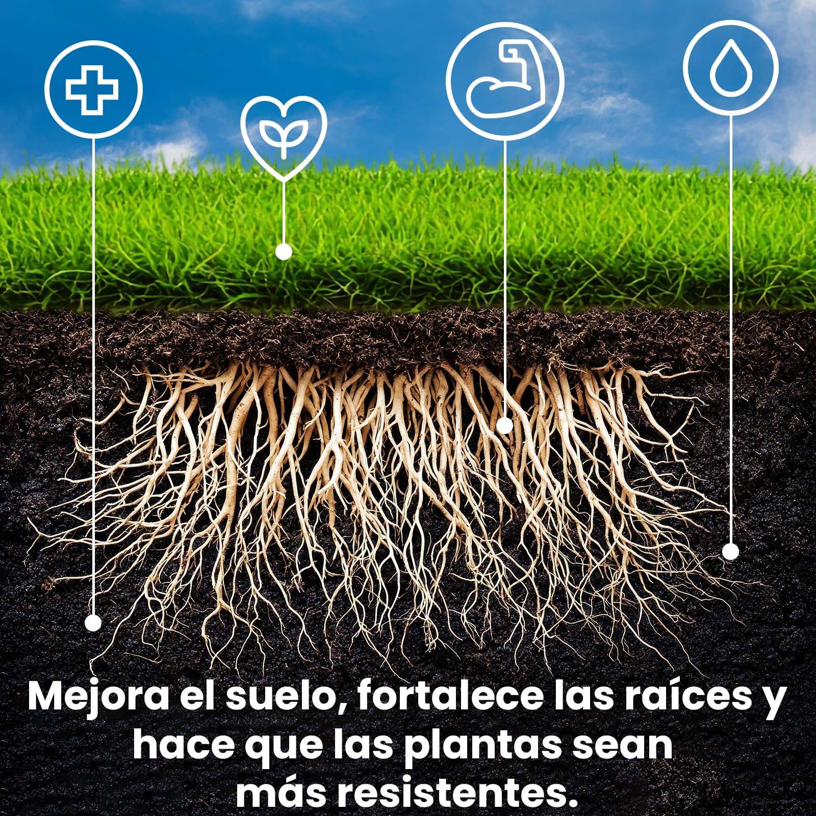 LERAVA STARTER abono césped (180 m²) - favorece el crecimiento de raíces - ideal con semillas de césped sin riesgo de quemar - refuerza la resistencia del suelo - abono para jardín natural
