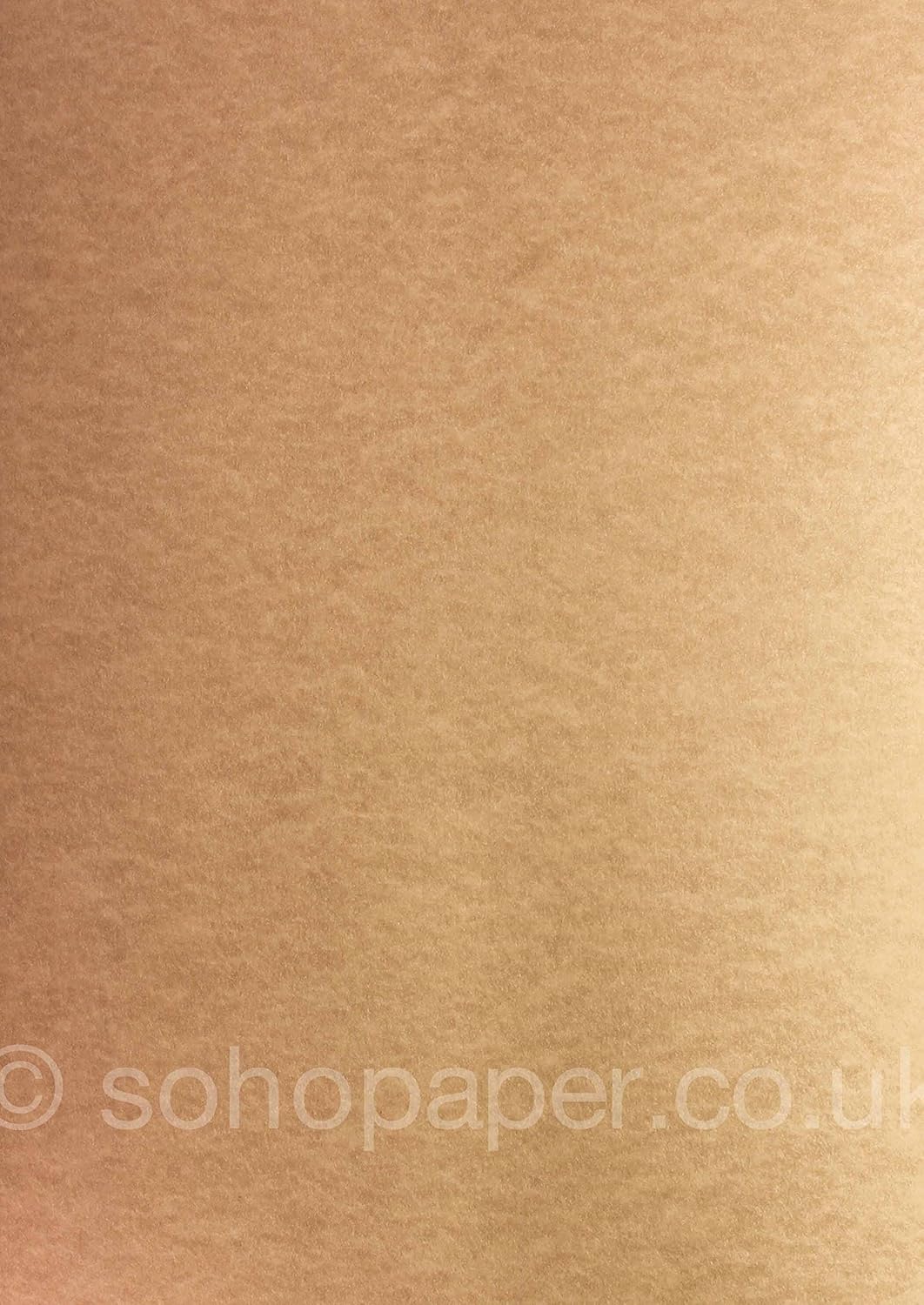 Parchment Paper (Bronze)