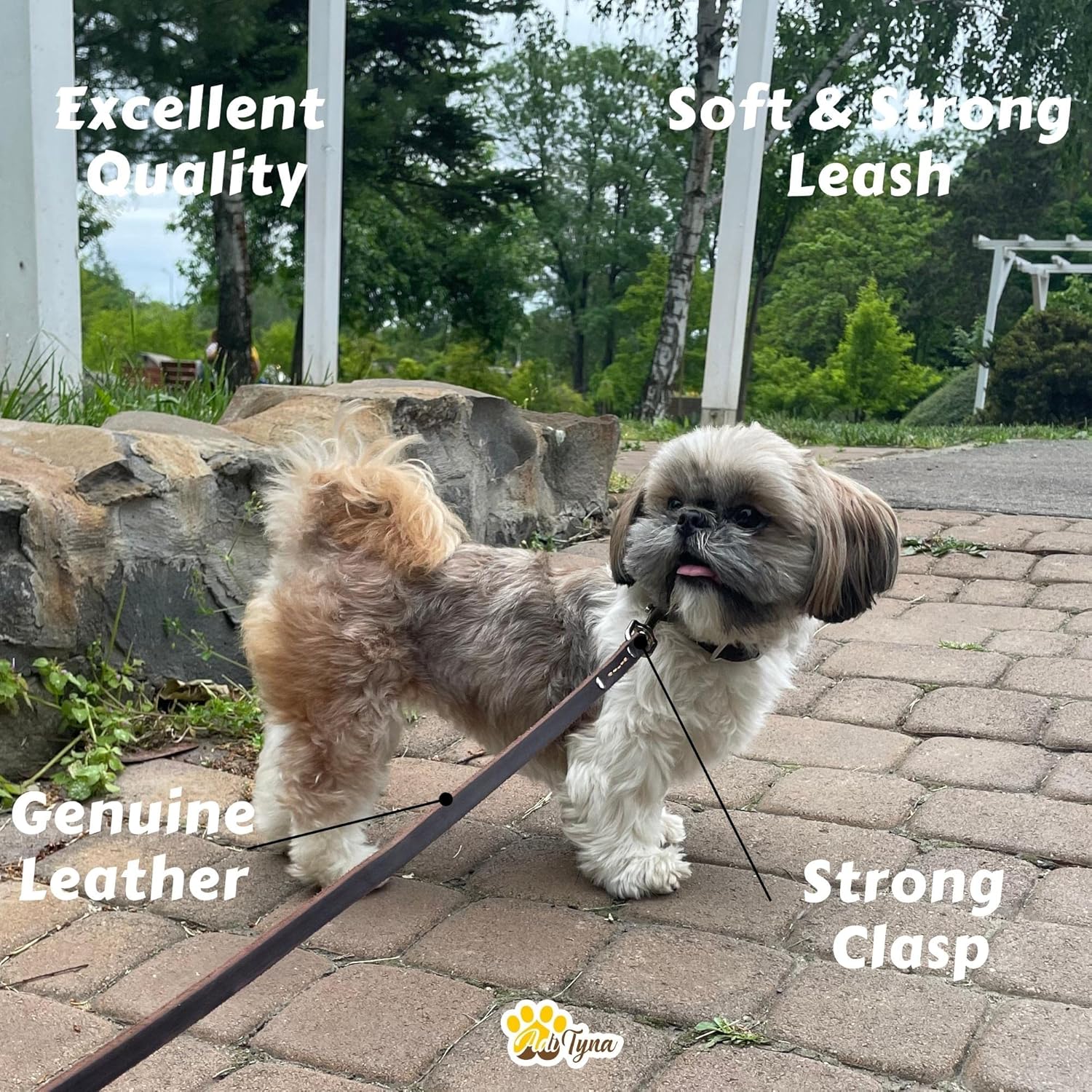 ADITYNA - Premium Leather Dog Leash - 6 ft, Heavy-Duty, Soft & Strong for Small/Medium Dogs - Perfect for Walking, Training, Hiking, and Running (Small: 6 ft x 1/2", Brown) - Image 6