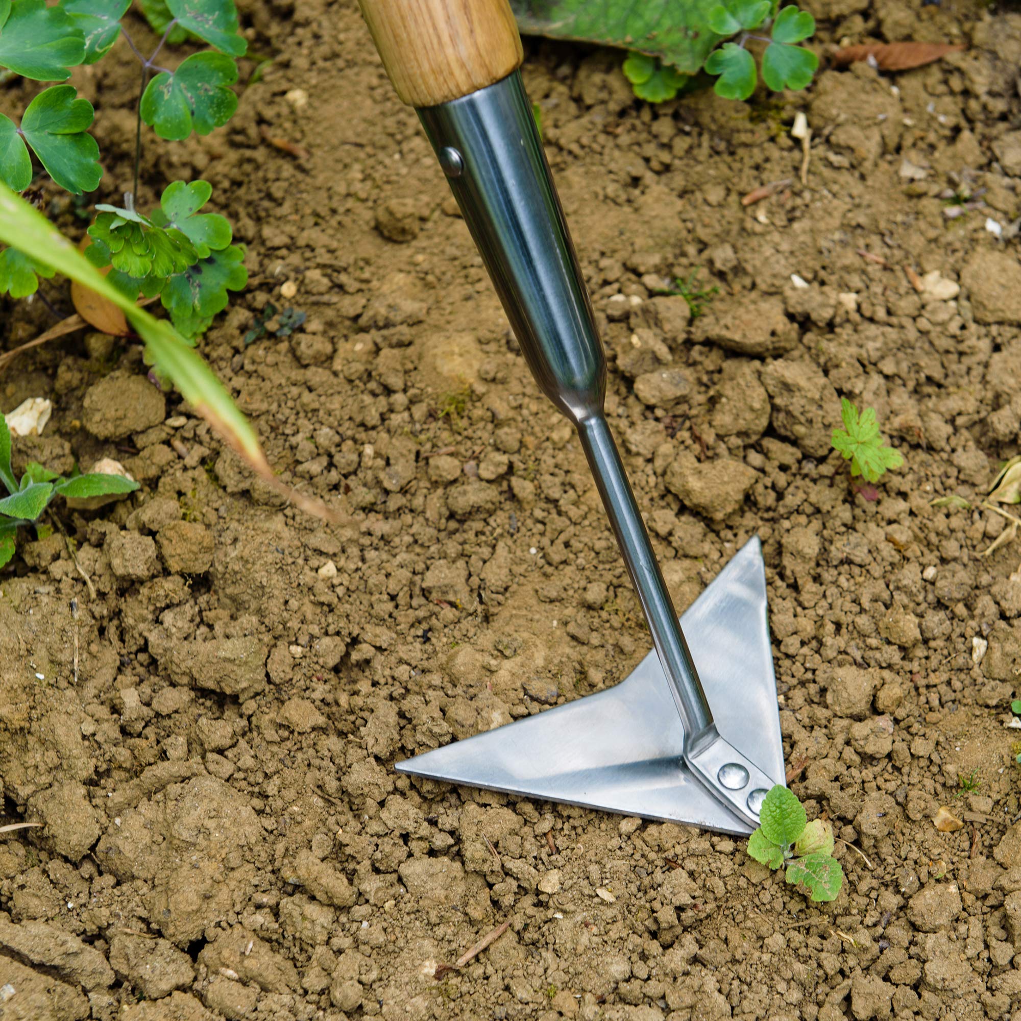 Cazzuola Da Giardino Kent & Stowe In Acciaio Inossidabile Con Manico In Frassino - 32 Cm - Foto 10