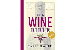 Exploring the Bible: A Comprehensive Guide for Adult Beginners